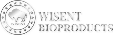 logo-wisenet